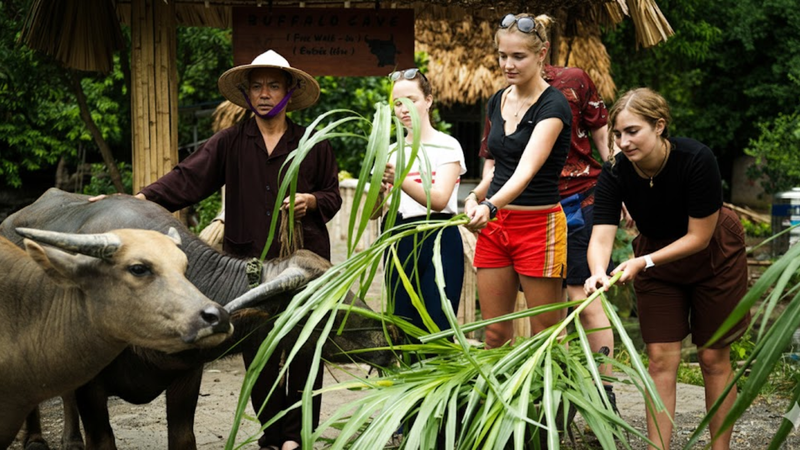 Trải Nghiệm Nông Thôn Việt Nam Đích Thực (7)